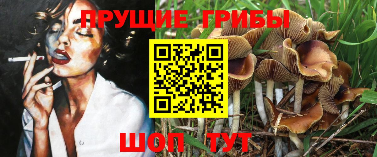 Псилоцибиновые грибы ЛСД  Псилоцибиновые грибы Psilocybine cubensis  Конаково  Вход с VPN 
